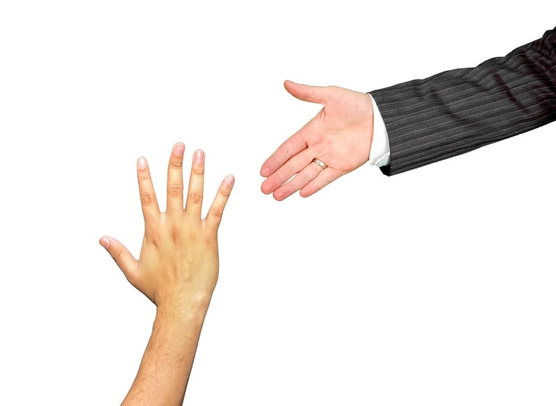 Mentorship Program